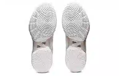 Asics Gel-Hoop V14 White Grey