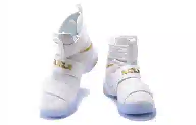 Nike zoom soldier 10 LeBron Gold Medal