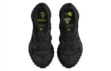 Nike ACG Mountain Fly Low GTX SE Black