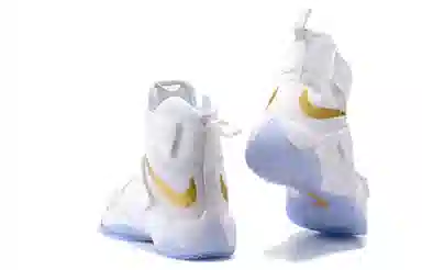 Nike zoom soldier 10 LeBron Gold Medal