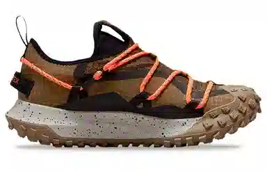 Nike ACG Mountain Fly Low GTX SE Brown