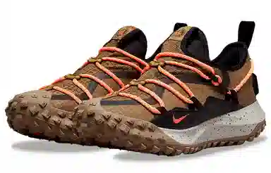Nike ACG Mountain Fly Low GTX SE Brown