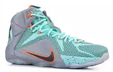 Nike Lebron 12 NSRL