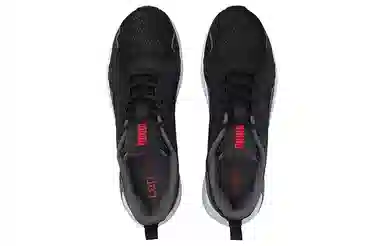 Puma Lqdcell Method