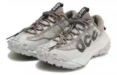 Nike ACG Mountain Fly Low 2 Grey