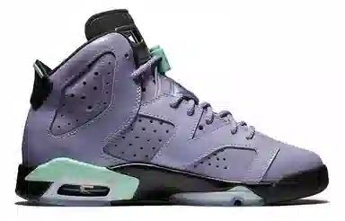 Jordan Air Jordan 6 Retro Iron Purple