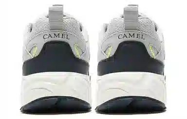 CAMEL 1.0