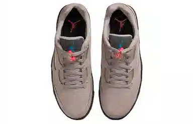 Jordan Air Jordan 5 Retro Low PSG