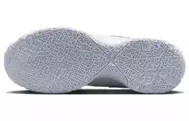 Nike LeBron NXXT Gen Zoom