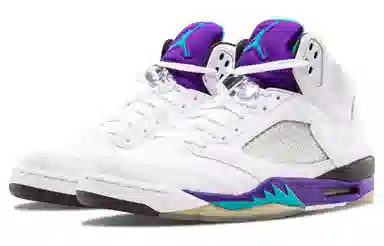 Jordan Air Jordan 5 Retro Grape PU