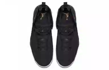 Jordan Air Jordan 7 True Flight Black Gold