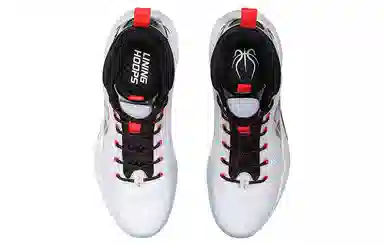 LiNing Yu Shuai 14 Low