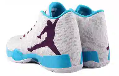 Jordan Air Jordan 29