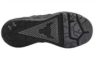Under Armour Project Rock 4