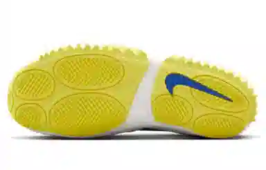 Nike Zoom Court Dragon