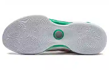 LiNing Evolution LOW