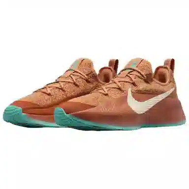 Nike LeBron TR 1