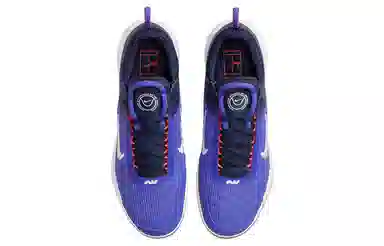 Nike Zoom Court NXT HC