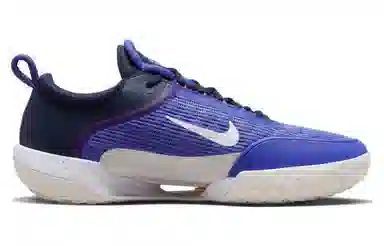Nike Zoom Court NXT HC