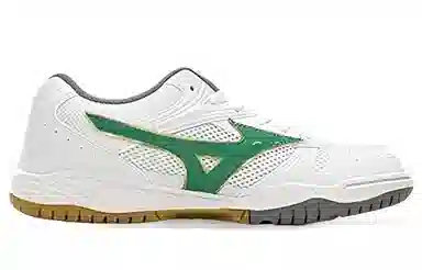 Mizuno School Indoor