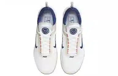 Nike Court Zoom NXT HC