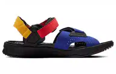 Nike ACG Air Deschutz