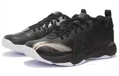 LiNing Chameleon 6.0