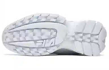 Fila Disruptor 2 Grey