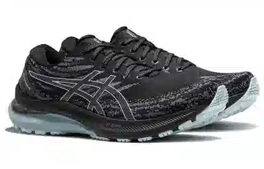 Asics GEL-KAYANO 29