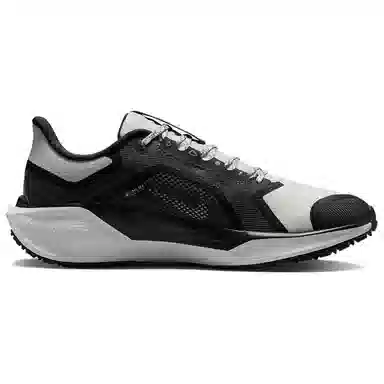 Nike Pegasus 41 GORE-TEX