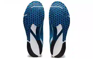 Asics Tartheredge 2 Blue White