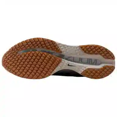 Nike Pegasus Premium