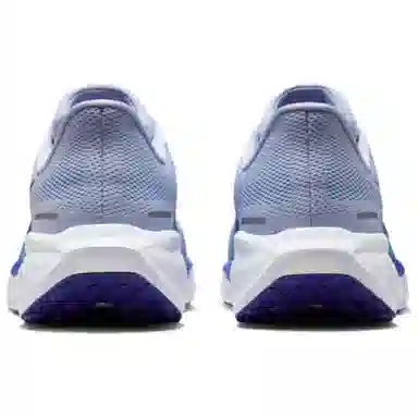 Nike Pegasus 41 Blue