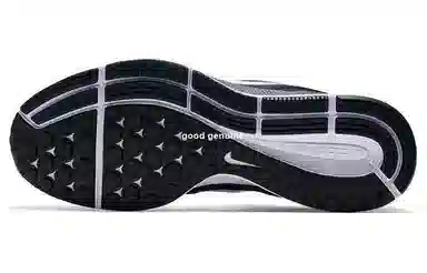 Nike Pegasus 34 Air Zoom Black