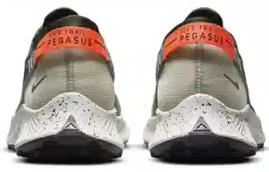 Nike Pegasus Trail 2