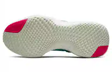 Nike Invincible Run 2 flyknit