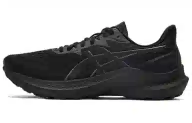 Asics GT-2000 12
