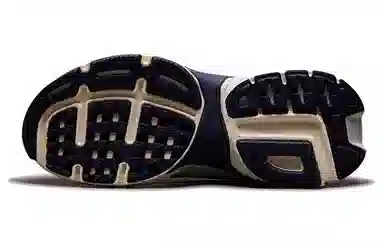 Nike V2K Run White Grey