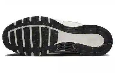 Nike P-6000 Light Silver