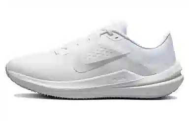 Nike Winflo 10 White