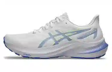 Asics GT-2000 12