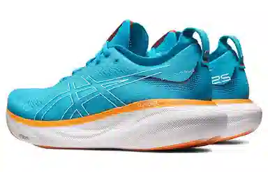 Asics GEL-Nimbus 25
