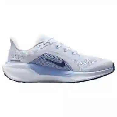 Nike Pegasus 41