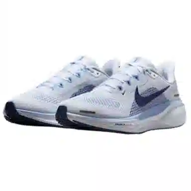 Nike Pegasus 41