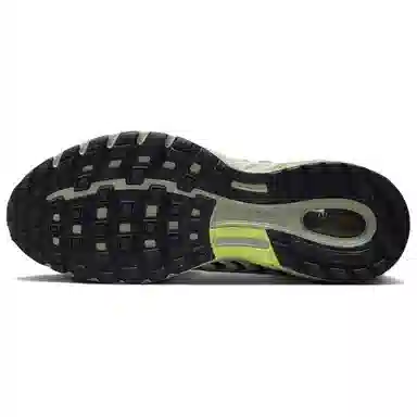 Nike Air Pegasus 2005