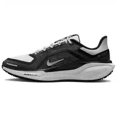 Nike Pegasus 41 GORE-TEX
