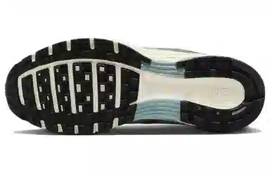 Nike P-6000 White Silver