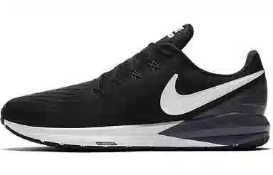 Nike Zoom Structure 22