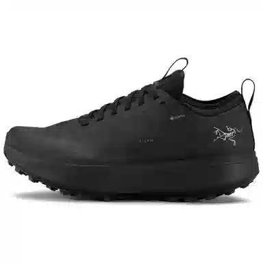 Arcteryx SYLAN GTX