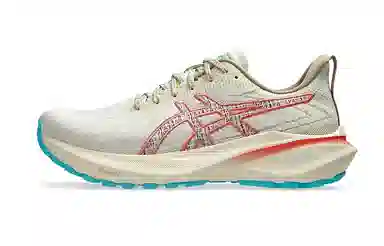 Asics GT-2000 13 TR